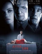[身后事/生命之旅][BD-720P-MKV][英语中字][豆瓣6.9分][2.0GB][2009]