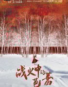 [战火中的芭蕾][HD-720P/1080P-MP4][国语中字][豆瓣6.4分][1.7GB/2.1GB][2015]