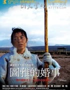 [图雅的婚事][DVD-AVI][国语中字][豆瓣7.9分][700MB][2006]