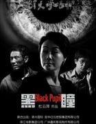 [黑瞳][HD-720P/1080P-MP4][国语中字][豆瓣3.3分][2.4GB/5.9GB][2015]