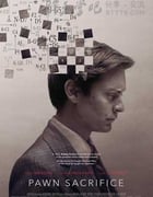 [出棋制胜][BD-720P/1080P-MP4][英语中字][豆瓣7.0分][2.1GB/4.8GB][2015]