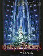 [古城荆棘王][BD-720P-RMVB][日语中字][豆瓣7.6分][1.3GB][2010]