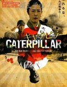 [芋虫][BD-720P-MKV][日语中字][豆瓣6.3分][2.0GB][2010]
