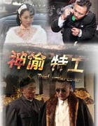 [神偷特工][HD-720P-MP4][国语中字][豆瓣4.6分][1.2GB][2013]