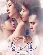 [夜孔雀][HD-720P/1080P/2160P-MP4][国语中字][豆瓣5.3分][1.7GB/1.9GB/3.6GB][2015]