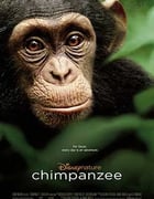 [黑猩猩][BD-720P-MP4][英语中字][豆瓣8.8分][1.19GB][2012]