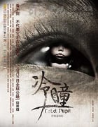 [冷瞳][HDTV-RMVB][国语中字][豆瓣2.7分][978MB][2013]