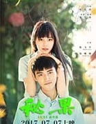 [秘果][HD-1080P/2160P-MKV][国语中字][豆瓣4.8分][1.6GB/4.07GB][2017]
