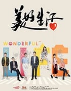 美好生活/豆瓣6.1分/2018/全集