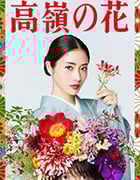 高岭之花/豆瓣6.4分/2018/全集