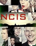 海军罪案调查处 第十六季/豆瓣8.6分/2018/全集