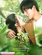 青囊传/2019/全集