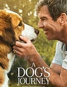 [一条狗的使命2][BD-720P/1080P-MP4][英语中字][豆瓣6.9分][1.83GB/4.09GB][2019]
