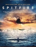 [喷火][BD-720P/1080P-MP4][英语中字][豆瓣8.1分][1.98GB/4.05GB][2018]