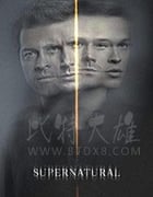 邪恶力量 第十五季/2019/全集