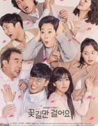 只走花路吧/2019/全集