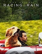 [我在雨中等你][BD-720P/1080P-MP4][英语中字][豆瓣7.9分][2.50GB/5.63GB][2019]