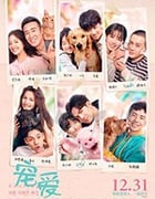 [宠爱][HD-1080P-MP4][国语中字][豆瓣6.1分][2.26GB][2019]
