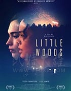 [小森林][HD-720P/1080P-MP4][英语中字][豆瓣6.4分][1.22GB/2.99GB][2018]