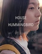 [蜂鸟][HD-720P/1080P-MP4][韩语中字][豆瓣7.9分][2.04GB/4.52GB][2019]