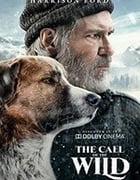 [野性的呼唤][BD-720P/1080P-MP4][英语中字][豆瓣7.1分][2.08GB/3.98GB][2020]