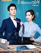 奈何BOSS又如何/豆瓣4.8分/2020/全集