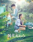 仲夏满天心/2020/全集
