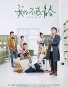 2020年国产大陆电视剧《我的不惑青春》全40