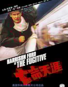 1993年美国经典动作片《亡命天涯》BD国英双语中英双字