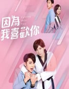 2020年中国台湾电视剧《因为我喜欢你》全26