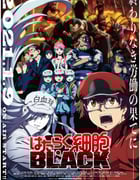 2021年日本动漫《工作细胞BLACK》全13集