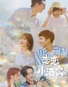 2021年国产大陆电视剧《恋恋小酒窝》全24集