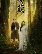 2021年国产大陆电视剧《司藤》全30集
