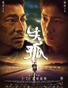 2015年国产经典剧情片《失孤》BD国语中字