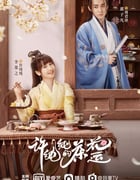 2021年国产大陆电视剧《许纯纯的茶花运》全24集