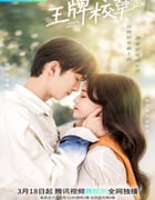 2022年国产大陆电视剧《王牌校草》全24集