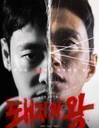 2022年韩国电视剧《猪猡之王》全12集