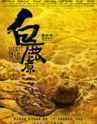 2012年国产经典剧情历史片《白鹿原》蓝光国语中字