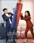 2022年国产大陆电视剧《请叫我总监》全32集