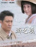 2019年国产大陆电视剧《海之谣》全36集
