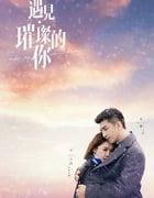 2022年国产大陆电视剧《遇见·璀璨的你》全43集