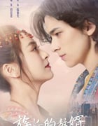 2022年国产大陆电视剧《族长的赘婿》全9集