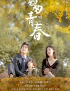2022年国产大陆电视剧《匆匆的青春》全40集