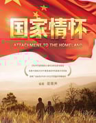 2022年国产大陆电视剧《国家情怀》全29集