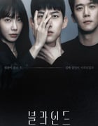 2022年韩国电视剧《Blind》全16集