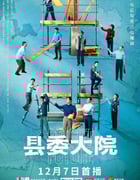 2022年国产大陆电视剧《县委大院》全24集