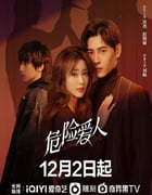 2022年国产大陆电视剧《危险爱人》全16集