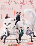 2022年国产大陆电视剧《一不小心喵上你》全24集