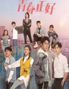 2022年国产大陆电视剧《青春正好》全33集