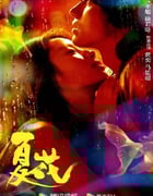 2023年国产大陆电视剧《夏花》全24集